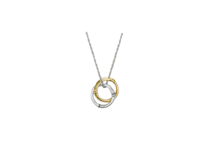 2 Tone Plated | Fashion Pendants